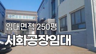 시화공단부동산 시화공장임대 깨끗한 250평공장