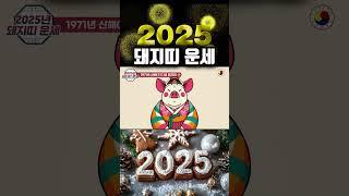 2025년 돼지띠 운세: 돈과 성공이 따라 오는 한해,수직 상승하는 천운을 잡으세요