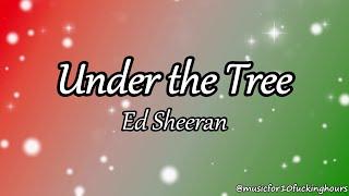 10 HOURS Ed Sheeran - Under the Tree