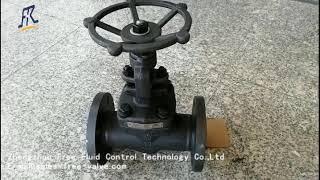 Bolted Bonnet Forged Steel A105 flanged end FM Globe Valve