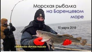 Морская рыбалка на Баренцевом море. Ура-губа. 10.03.2018г.