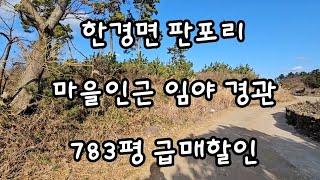 제주시 한경면 판포리 마을인근 임야 경관 783평 급매할인 010 4436 0401 제주도부동산 토지 매매 급매물