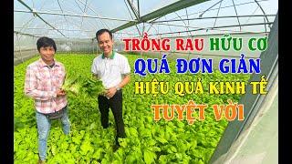 Trồng rau hữu cơ làm giàu được không? | Chia sẻ kinh nghiệm trồng rau hữu cơ đúng chuẩn