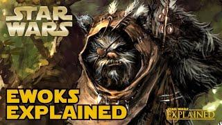 Ewoks Creature History (Canon) - Star Wars Explained