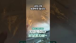 교실에서 누에 250마리 키운다면?