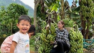 19 year old single mother - Harvesting bananas to sell at the market & Making banana bean soup