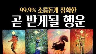 [타로] 99.9% 소름돋게 정확한곧 받게 될 행운