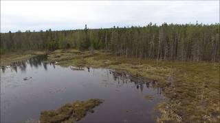 Ducks Unlimited Pond on the Dobson Trail Albert County, New Brunswick