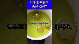 건강한 중년 치매에 좋은음식 #중년건강관리 #치매방지