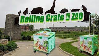 Best Rolling Crate to the zoo/ do shopping? | Collapsible Rolling Shopping Crate with 4 wheels 2021