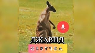 Джавид: Озвучка (Животные)