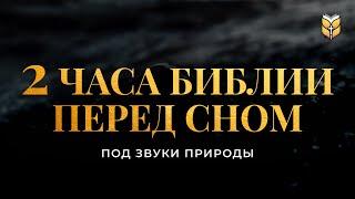 2 часа Библии перед сном под звуки природы. Современный перевод Библии #biblevision