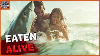 This Father’s Courageous Battle Rescuing Daughter From Great White Shark In Australia!| Shark Attack