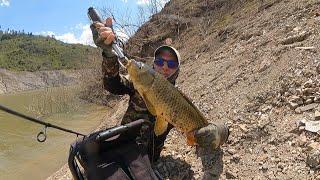 Hoy torneo de pesca en la laguna Curiquingue y pesca de carpas en Mazar | AVENTURA EXTREMA 