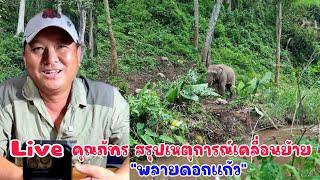 Live คุณภัทร Patara Elephant Conservation พูดคุยสรุปเหตุการณ์การเคลื่อนย้าย พลายดอกแก้ว เริ่มต้นจนจบ