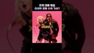 이게 대체 뭐임 이상한 로제 신곡 가사?