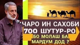 ЧАРО ИН САҲОБА 700 ШУТУРРО БО МОЛАШ БА МАРДУМ ДОД?