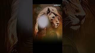 قناة حكم أهل البيت/ ولان قتلتم في سبيل الله أو متم