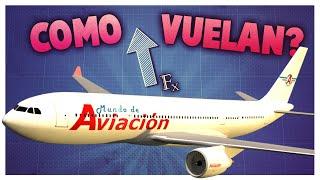 ¿Cómo hace un avión para volar?