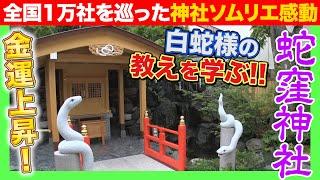 【043 白蛇様の金運UPの心得】白蛇様で有名な「蛇窪神社」で金運アップ間違いなし!?白蛇様のありがたい心得とは?