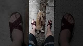 #Huaracheschallenge #epic #fails #bromas #carvaz #tiktok