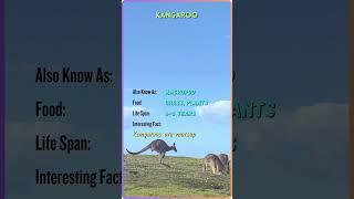 "Meet the Majestic Animals | Animal Name, Facts, and More | YouTube Shorts" #ZB8 #ZoomorphicBytes