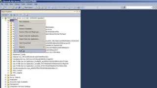 SharePoint 2013 Tutorial - Rename SharePoint_AdminContent Database