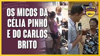 OS MICOS DA CÉLIA PINHO E DO CARLOS BRITO NA TV