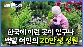 어느 날 갑자기 나타난 백발 여인. 평범한 시골 마을이 꽃밭으로 변한 놀라운 사연｜한국기행｜#골라듄다큐