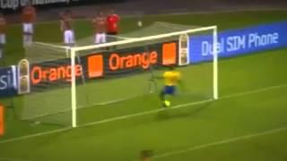 Pierre-Emerick Aubameyang Skills & Goals 2013 HD
