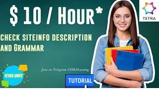 Check Siteinfo description format & Grammar Qualification tutorial by TETRA UHRS