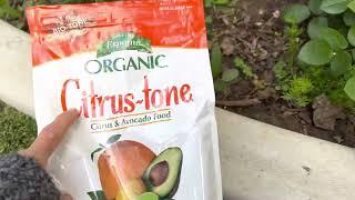 Organic citrus tone to feed avocado orange and lemon tree From Home Depot￼￼