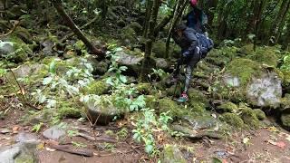 3-2-19 Kaipapa'u Falls [4k]