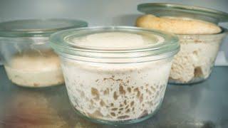 How Important Is Dough Temperature for Cold Fermentation?