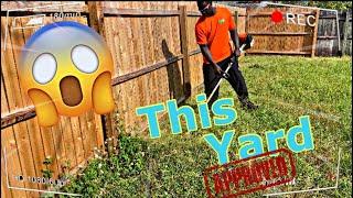 Overgrown Mowing New Customer Tall Grass DND Vlog #2 Instantly Satisfying Lawn Care