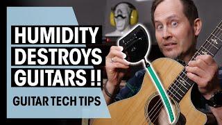 Guitars vs Humidity | Guitar Tech Tips | Ep. 56 | Thomann