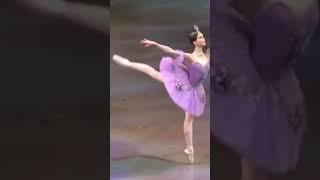 MariaIliushkina,VBA2016 graduate,class of Yulia Kasenkova,asthe Lilac Fairy from the Sleeping Beauty