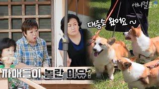 같이 삽시다 자매들을 깜짝 놀라게 한 강아지 대중소!? KBS 201002 방송