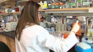 Eppendorf Tubes® 5.0 mL – The Missing Link for Medium-Sized Sample Volumes