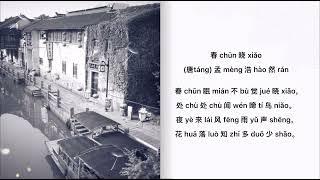 Chinese Poem - 春晓(Chun Xiao) PinYin & English translation