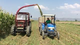 Tümosan + New Holland [mısır silajı]