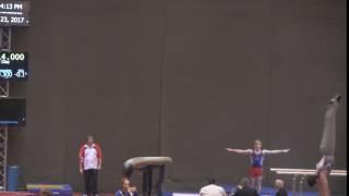 Josh Williams  - Vault - 2017 HNI Team Cup