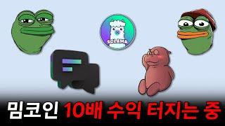 밈코인 10배수익 터지는 중