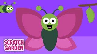 The Life Cycle of a Butterfly | Biology & Natural Science Videos | Parts of a Plant & More!