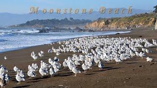 Moonstone Beach