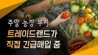 전국 주말농장부지(땅) 트레이드랜드가 직접 긴급매입 중 – WECL | 트레이드랜드 #트레이드랜드 #긴급매물