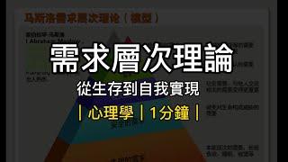 「需求層次理論」從生存到自我實現｜心理學｜1分鐘｜