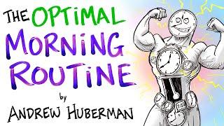 The Optimal Morning Routine - Andrew Huberman