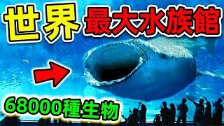 全世界最大的10個超級水族館！台灣只排第10，美國排名第4，第一名讓人意外，超過68000個海洋生物。|#世界之最top #世界之最 #出類拔萃 #腦洞大開 #top10 #最大水族館