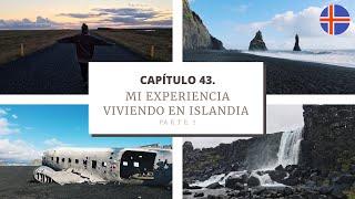 Mi experiencia viviendo en ISLANDIA  (Parte 2)⎪¿Qué estuve haciendo en Islandia?⎪Andrea Vernengo